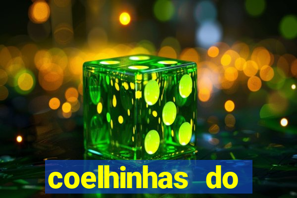 coelhinhas do brasil acompanhantes